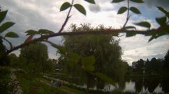 Rosarium Webcam