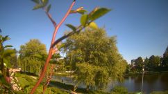 Rosarium Webcam