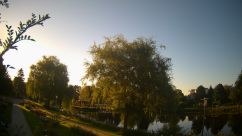 Rosarium Webcam