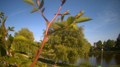 Rosarium Webcam