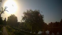 Rosarium Webcam