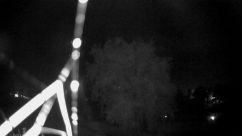 Rosarium Webcam