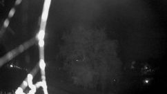Rosarium Webcam