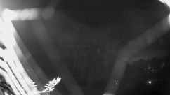 Rosarium Webcam