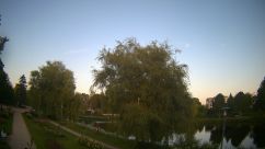 Rosarium Webcam