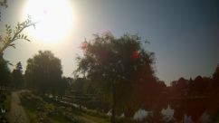 Rosarium Webcam