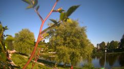 Rosarium Webcam