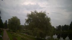Rosarium Webcam