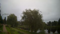 Rosarium Webcam