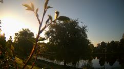 Rosarium Webcam