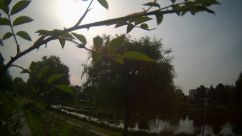 Rosarium Webcam