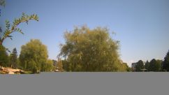 Rosarium Webcam