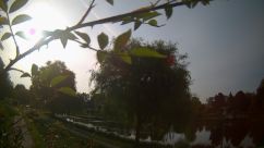 Rosarium Webcam