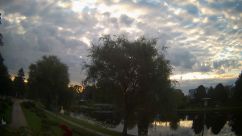 Rosarium Webcam