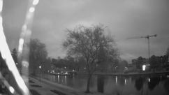 Rosarium Webcam