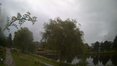 Rosarium Webcam