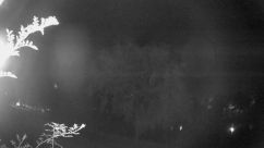 Rosarium Webcam