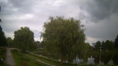 Rosarium Webcam