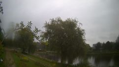 Rosarium Webcam