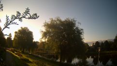 Rosarium Webcam