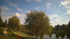 Rosarium Webcam