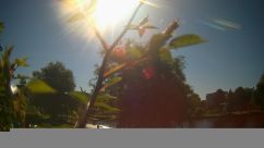 Rosarium Webcam