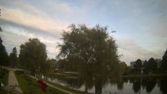 Rosarium Webcam