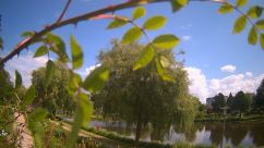 Rosarium Webcam