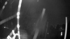 Rosarium Webcam