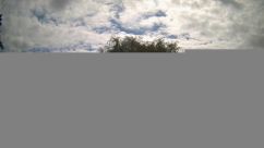 Rosarium Webcam