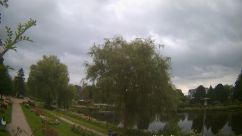 Rosarium Webcam