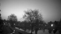 Rosarium Webcam