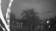 Rosarium Webcam