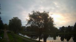 Rosarium Webcam
