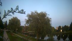 Rosarium Webcam