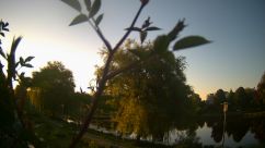 Rosarium Webcam