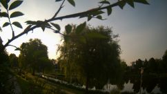 Rosarium Webcam
