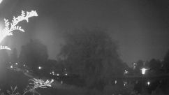 Rosarium Webcam