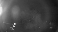 Rosarium Webcam