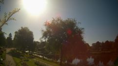 Rosarium Webcam