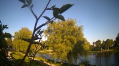 Rosarium Webcam