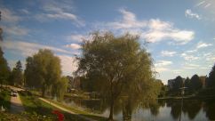 Rosarium Webcam