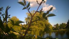 Rosarium Webcam