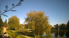 Rosarium Webcam
