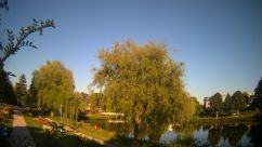 Rosarium Webcam