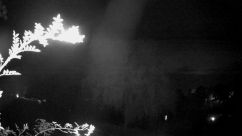 Rosarium Webcam