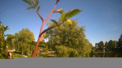 Rosarium Webcam