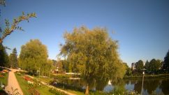 Rosarium Webcam