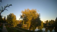 Rosarium Webcam