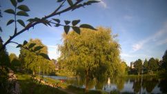 Rosarium Webcam